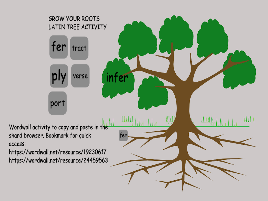 Latin Roots & Chameleon Prefixes