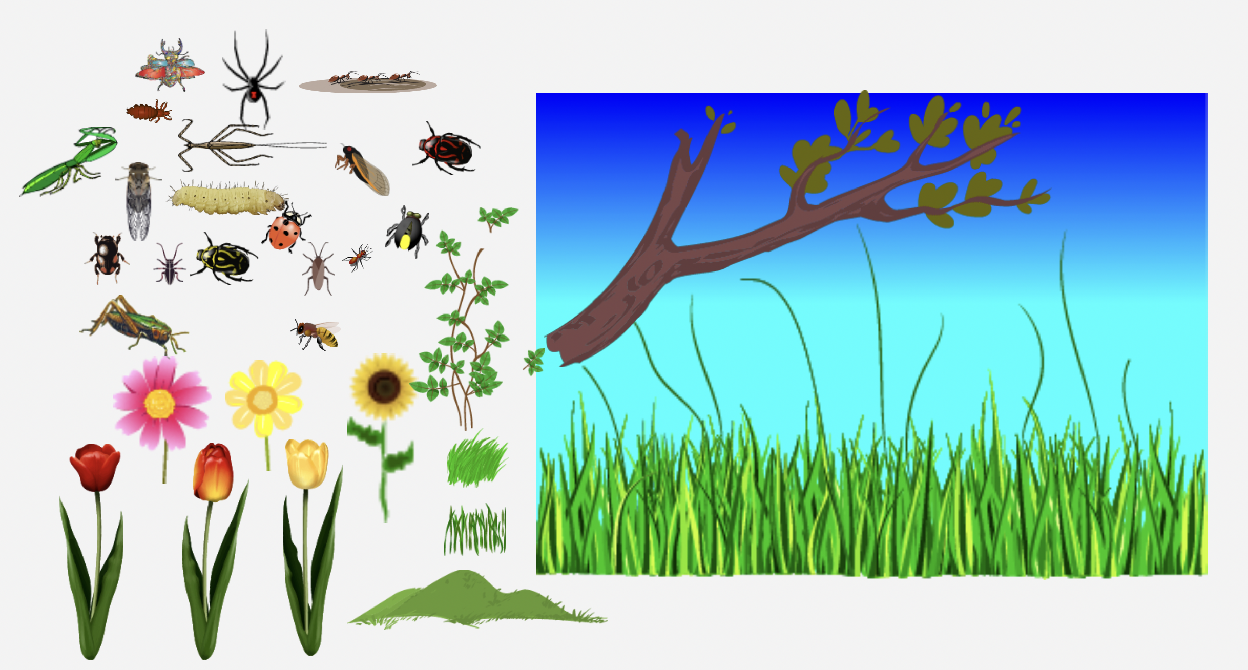 Create an Insect Garden Reward Activity