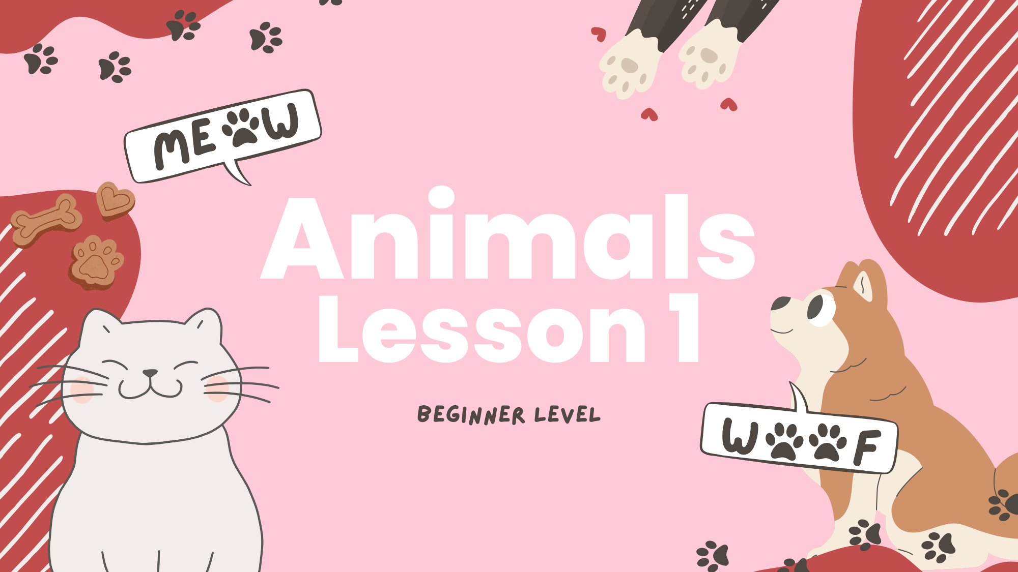 Beginner: Animals Lesson 1