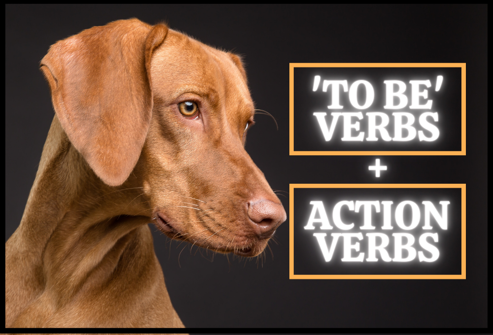 TO BE AND ACTION VERBS-FUN FOR BEGINNERS
