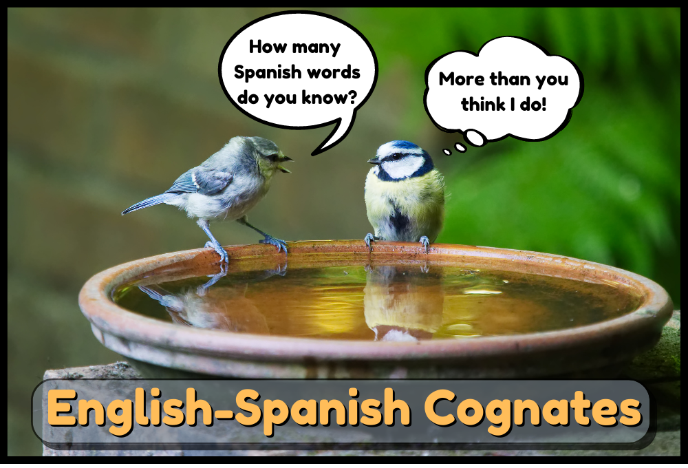 English-Spanish Cognates