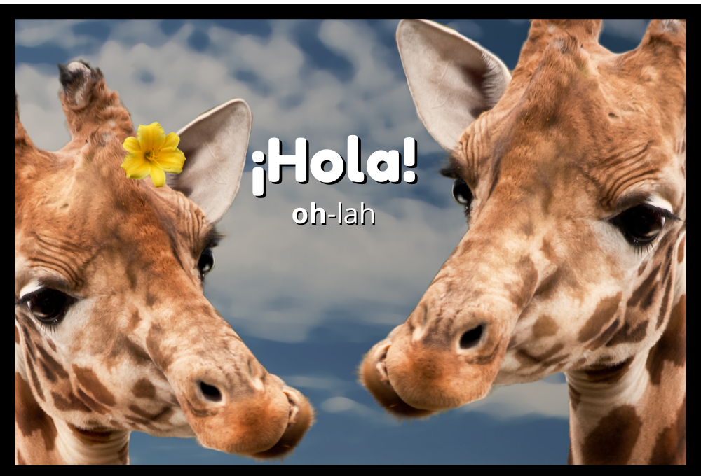 HOLA - Greetings in Spanish