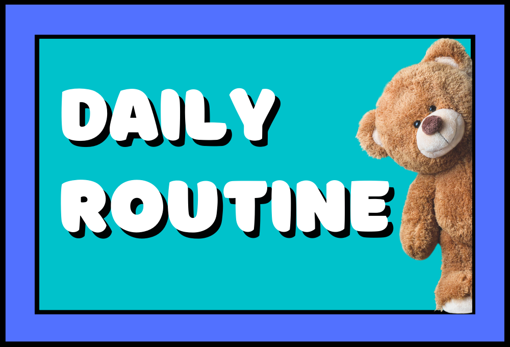 Daily Routine